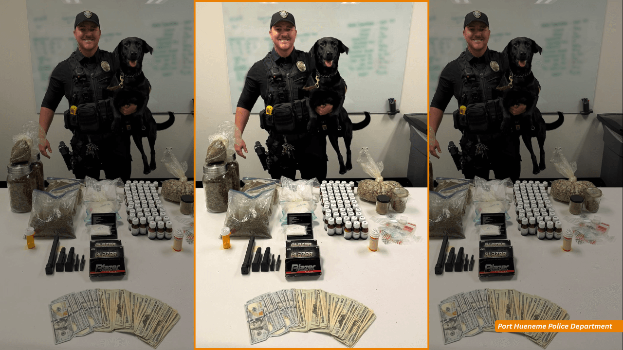 K-9 Gator Helps Detectives Seize Cocaine, Fentanyl, and Ammunition During Port Hueneme Search Warrant