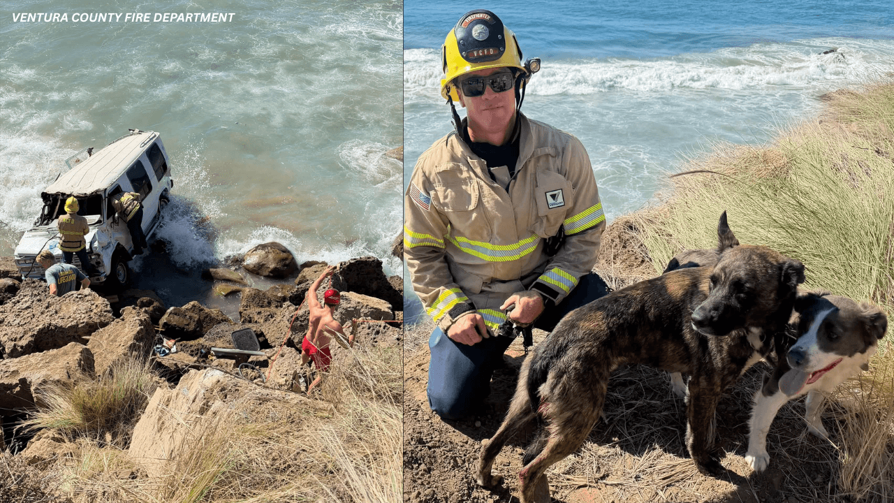 Firefighters and Lifeguards Rescue Dog Trapped in Car Crashing Into Surf Near Malibu