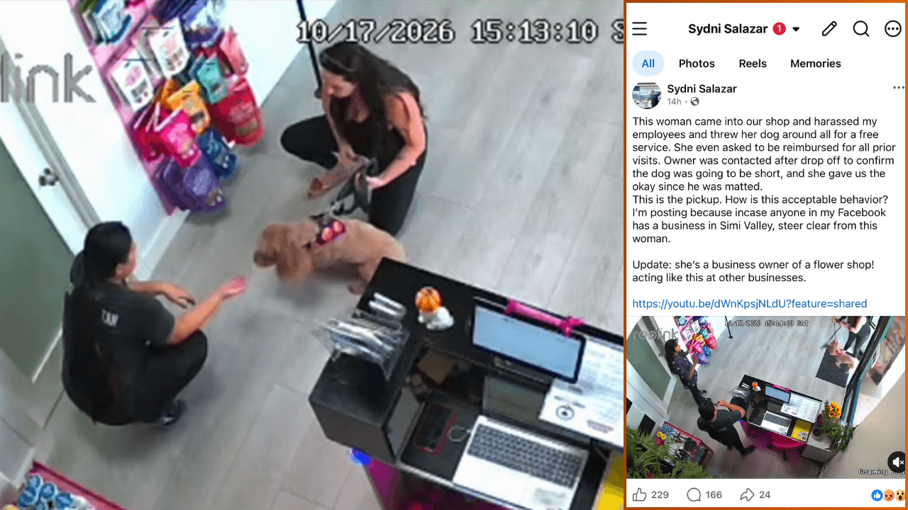 Simi Valley Pet Shop Drops Security Cam Footage of Customer’s Meltdown