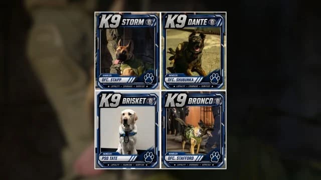 Glendale Police Honor Canines On National Police K9 Day